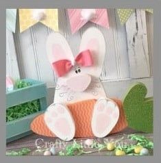 Project Bunny with Carrot