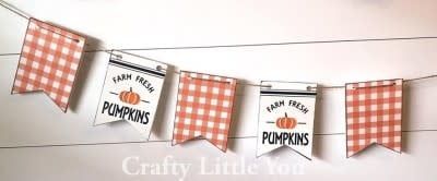 Farm Fresh Pumpkin Banner