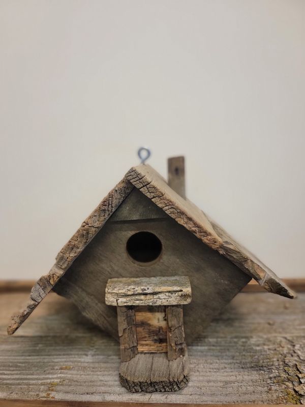 Bird House Triangle house
