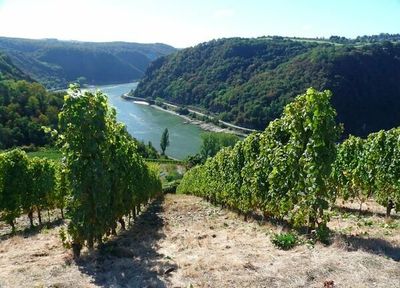 Rheingau