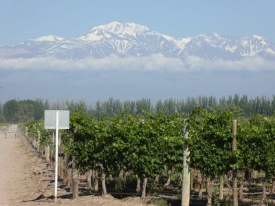Mendoza