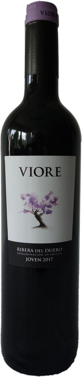 Ribeiro del Duero Joven - Bodegas Rioja - 2017