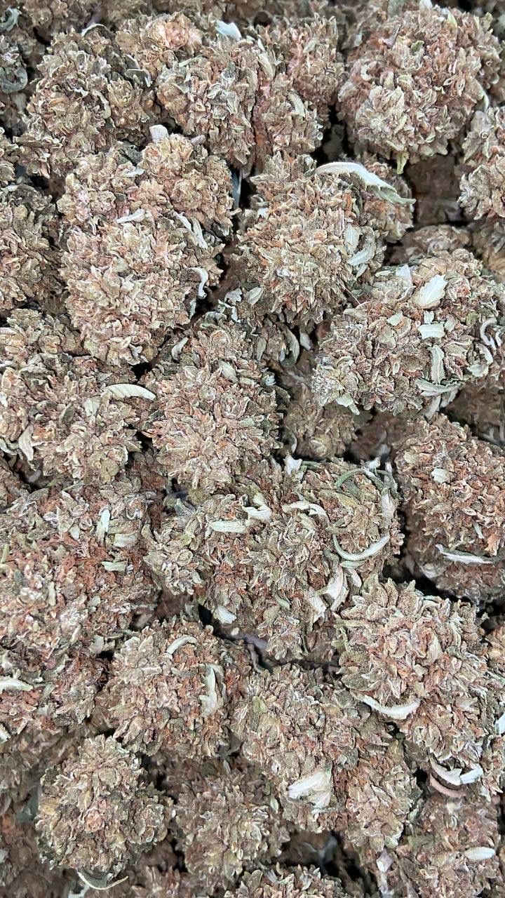 BUBBA KUSH