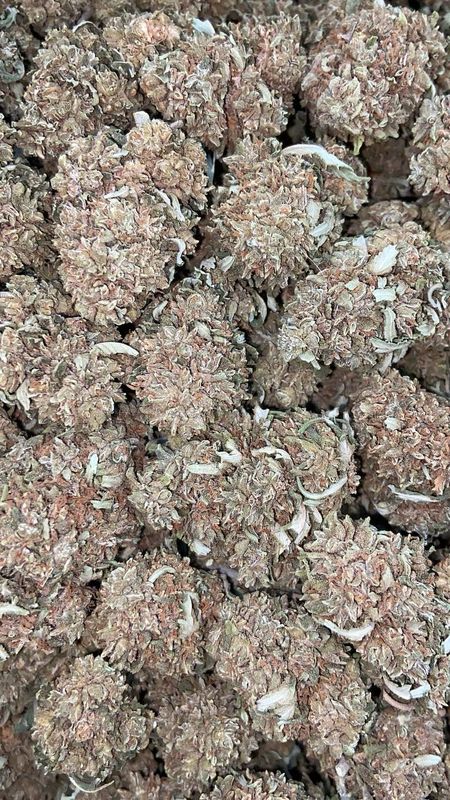 BUBBA KUSH
