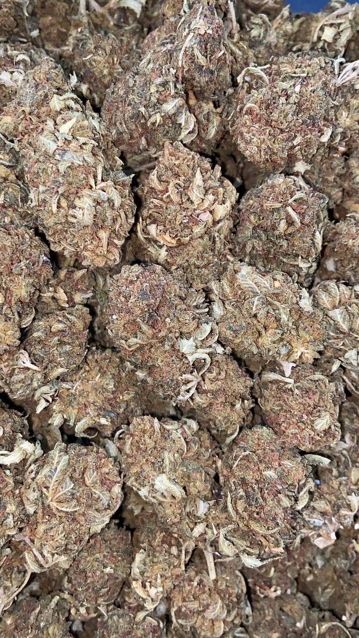 SOUR BUBBA