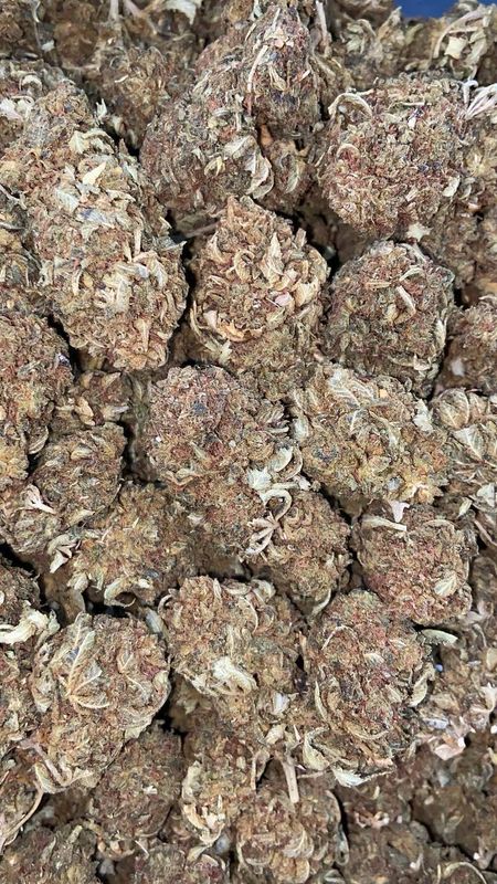 SOUR BUBBA