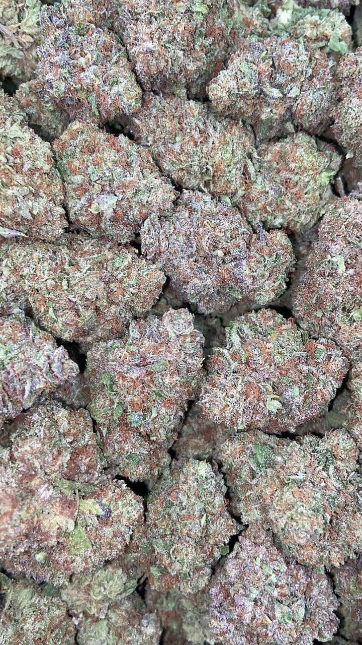 FROZEN YOGURT