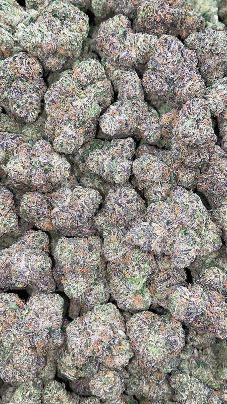 WHITE GUAVA GELATO