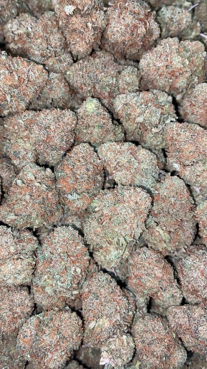 PLATINUM KUSH