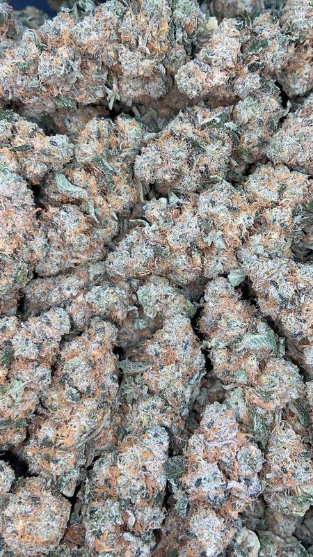 BLUE COOKIE