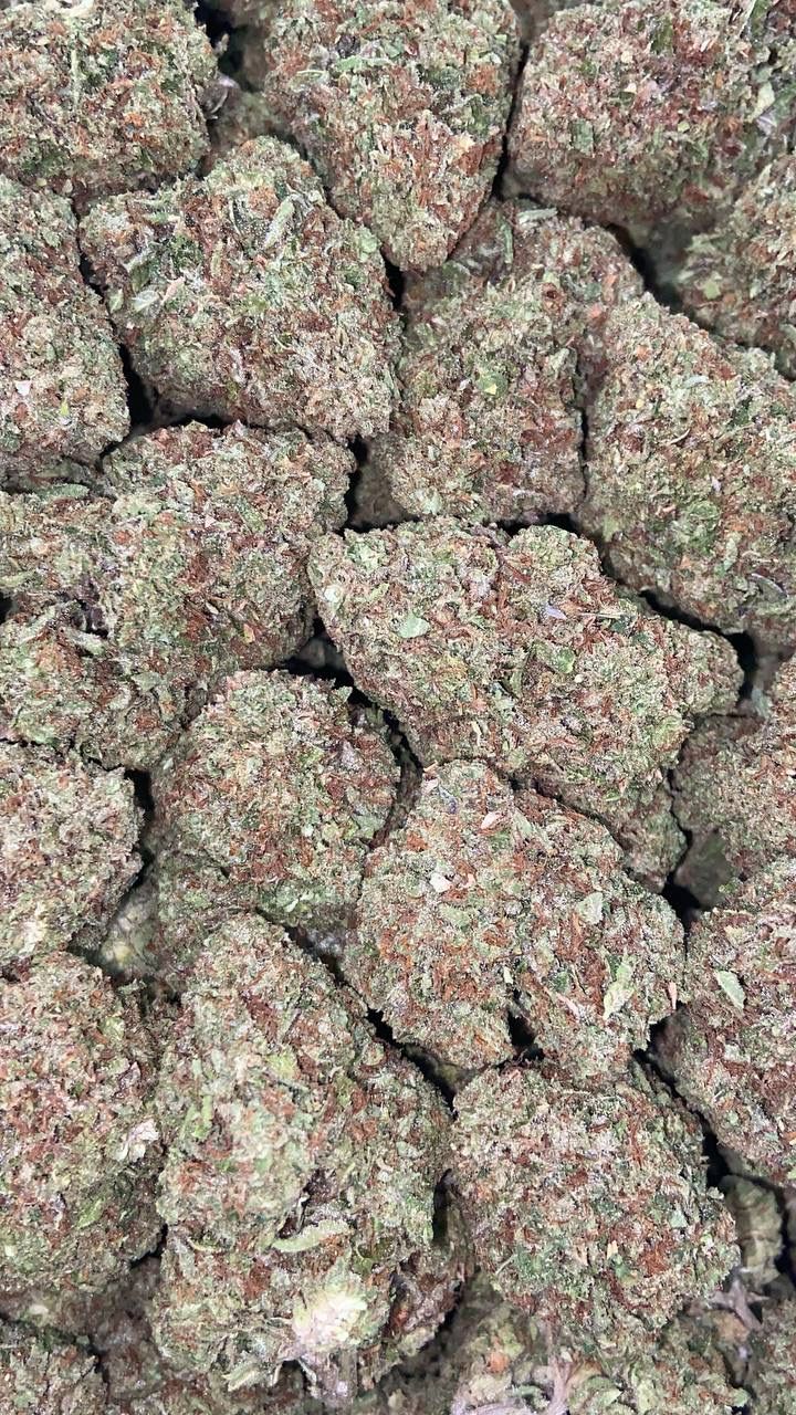RAINBOW SHERBERT