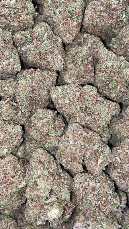 RAINBOW SHERBERT