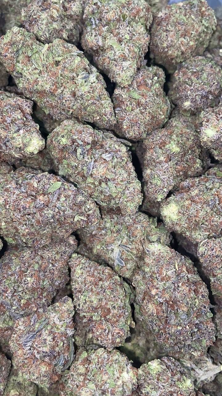 GRAPE GUSHERS