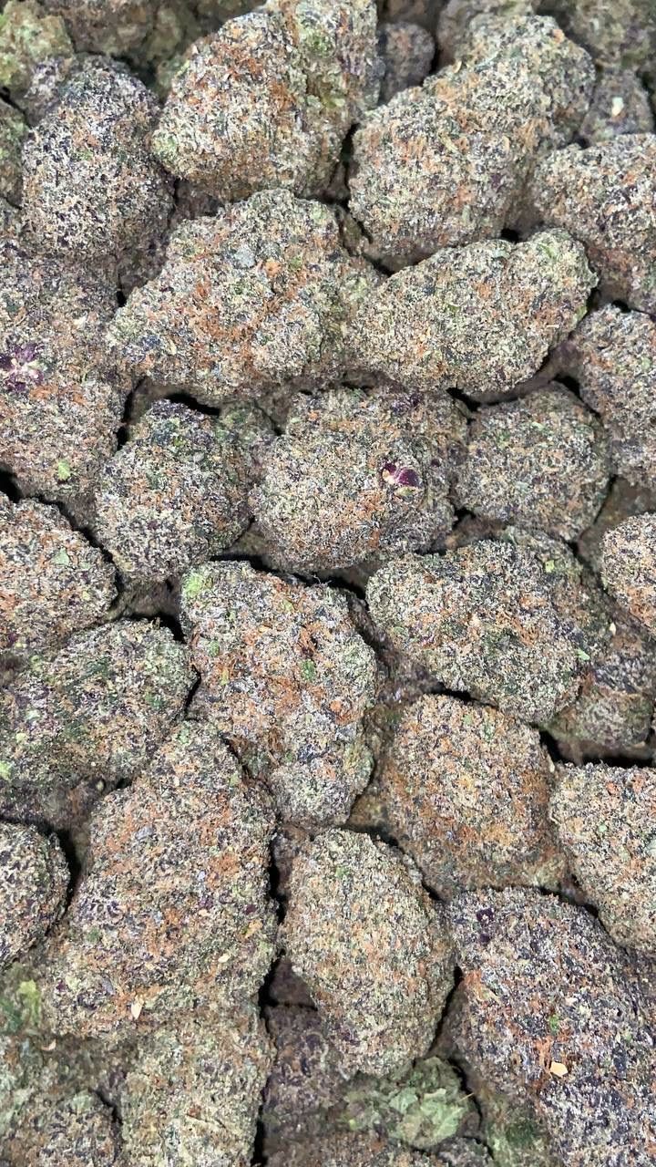 PINK RUNTZ