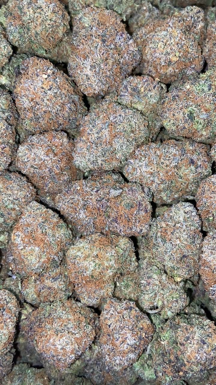 ACAI RUNTZ