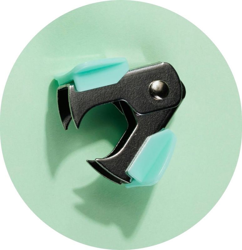 Staple Remover