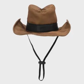 Cowboy Party Hat