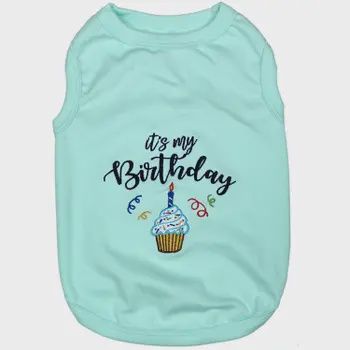 Birthday Boy Dog Tee