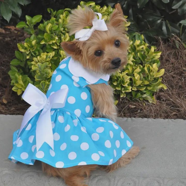 Polka Dot Dress and Leash