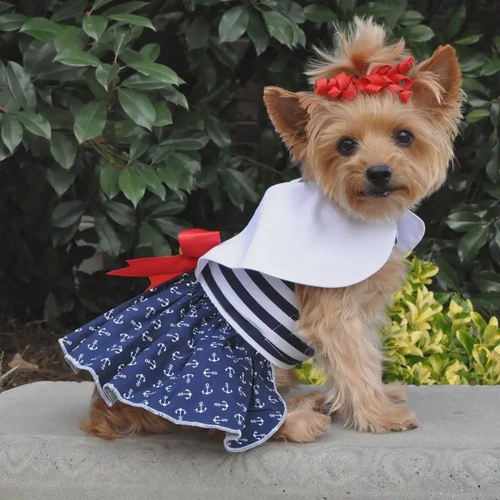 Sailor Dress w/Leash