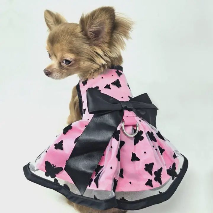All Aflutter Butterfly Dress