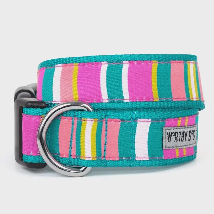 Fiesta Stripe Dog Collar