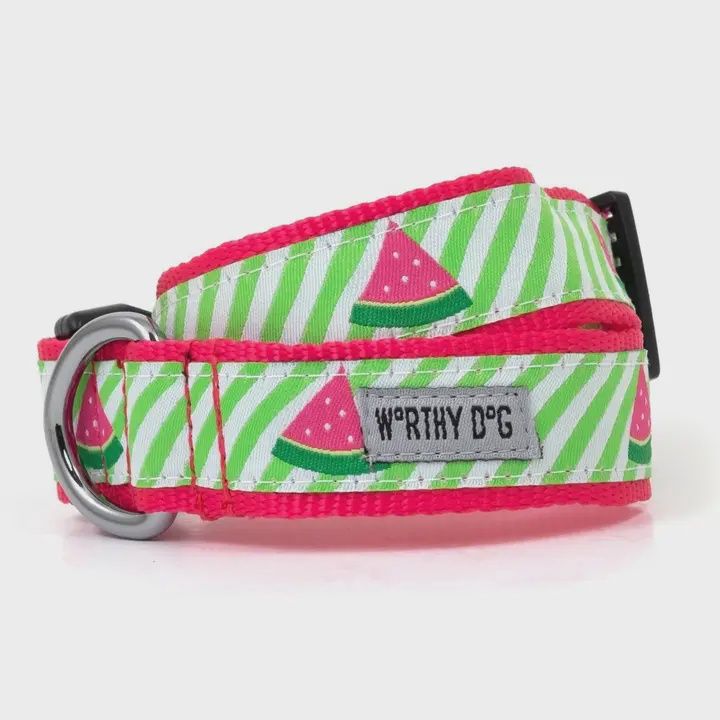 Green Stripe Watermelon Dog Collar