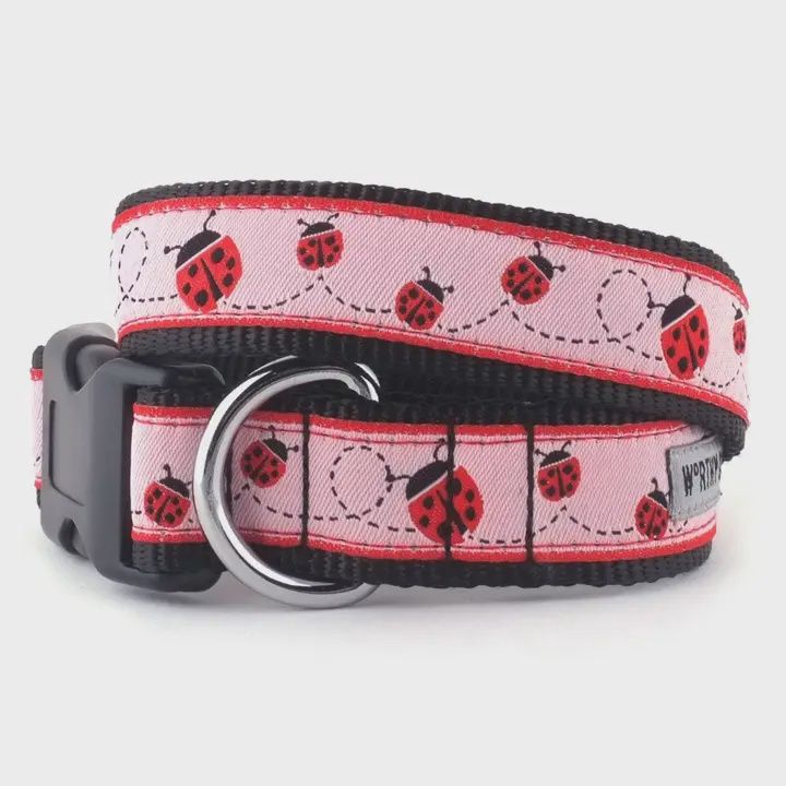 Ladybug Dog Collar