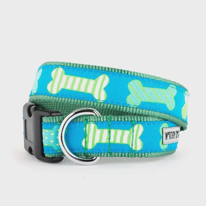 Preppy Bones Dog Collar
