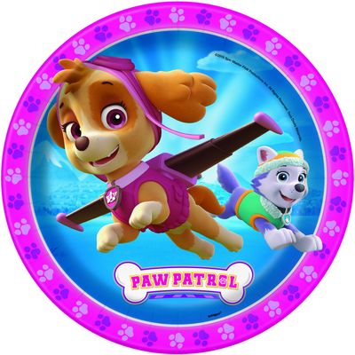 PAW PATROL GIRL 8  9&quot; Plates