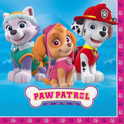 PAW PATROL GIRL 16  Luncheon Napkins