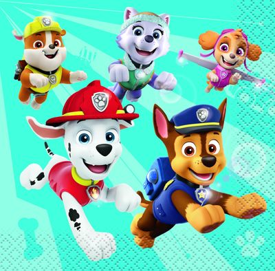 PAW PATROL BOY 16  Beverage Napkins