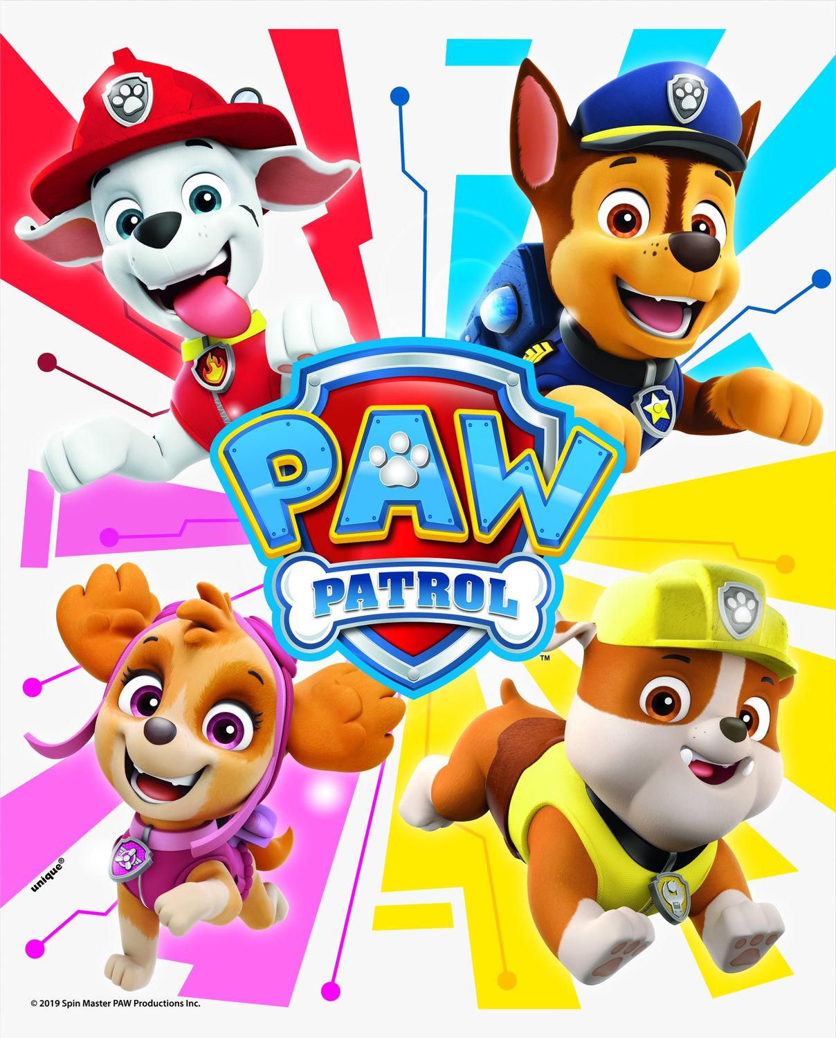 PAW PATROL BOY 8  Loot Bags