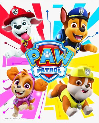 PAW PATROL BOY 8  Loot Bags