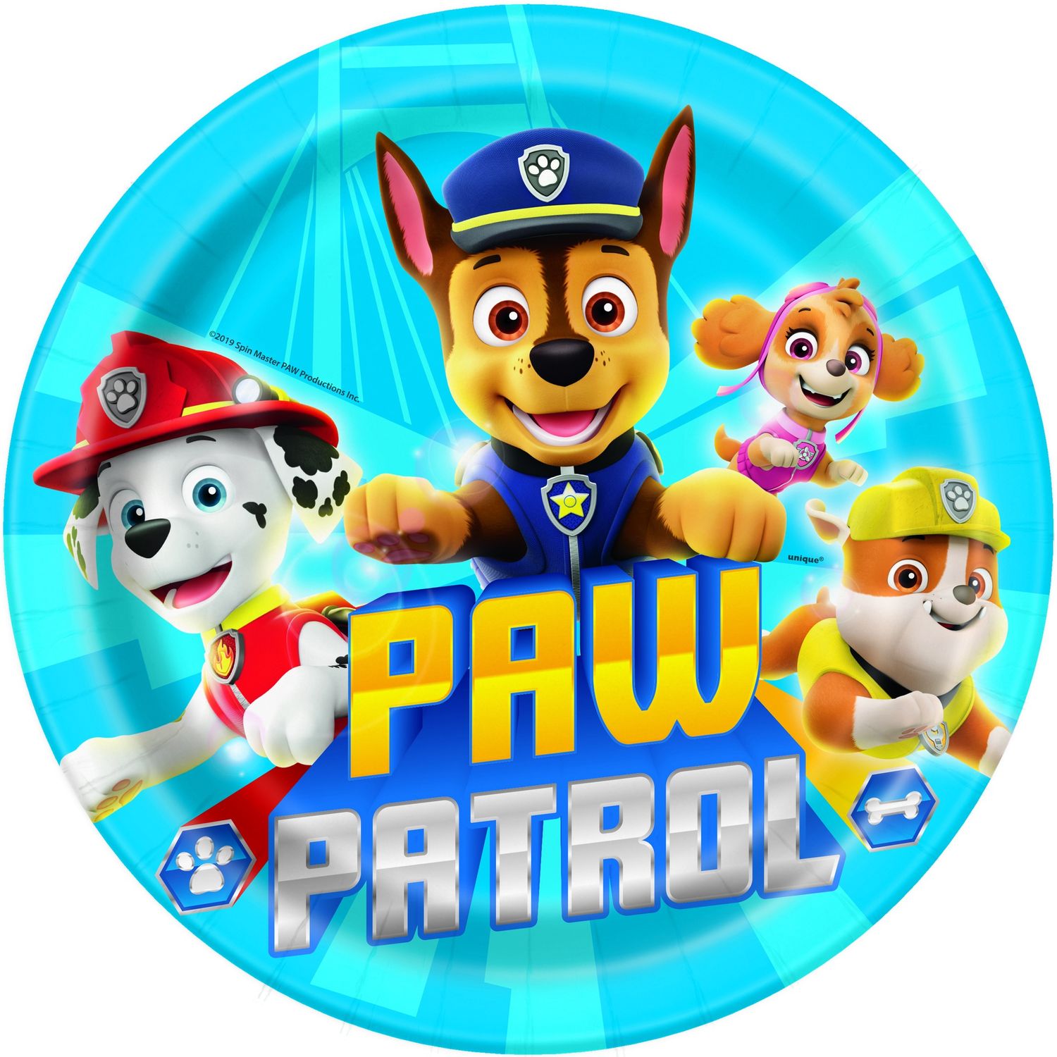 PAW PATROL BOY 8  9&quot; Plates