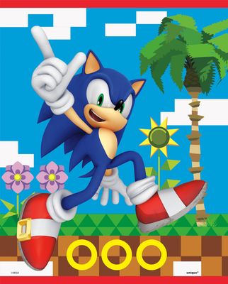 8pcs Sonic Lootbags