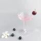 6pcs Champagne Glasses