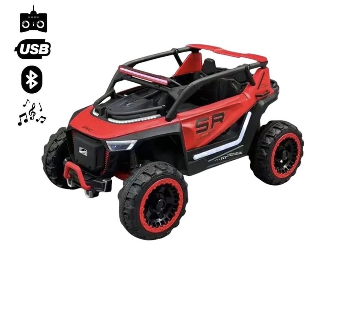 2 Seater Electric Vehicle