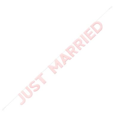 7ft Just Married Fabric Banner