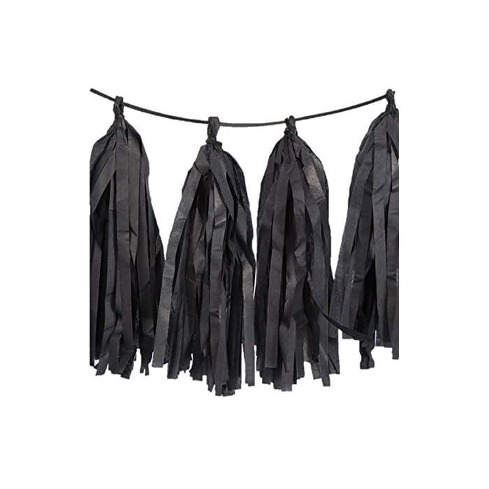 9ft Black Tassel Garland Hanging Decorations