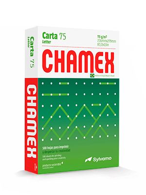 Chamex  8 1/2&quot; x11&quot; Paper (Paper Stationery)