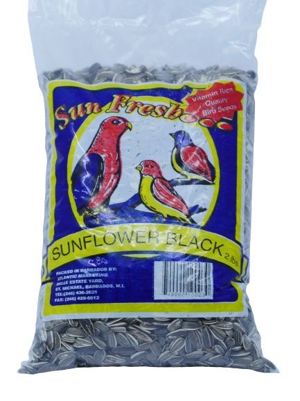 Sunflower Black Seed
