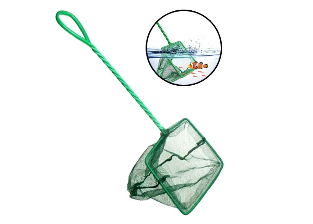 Fish Net