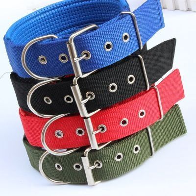 Dog Collar (Big)