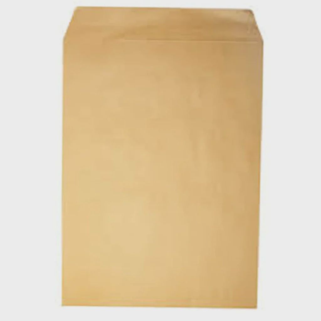 1pc A4 Document Envelope (Envelope Stationery)