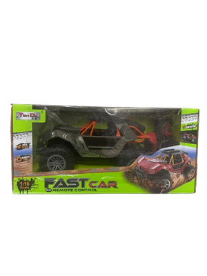 Fast Car Remote Control 1:16 scale (Boy Toys)