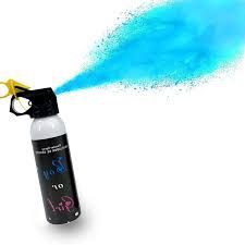 Gender Reveal Powder Spray (Boy/Girl)