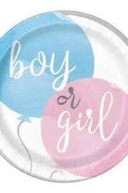 8pcs Gender Reveal Party 9&quot; Plates