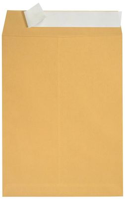 Legal Size Document Envelope