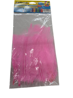 12pcs 13-15cm Feathers